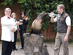 Supporting image for story: Moocha getting musical