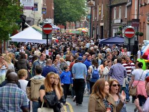 Supporting image for story: Thousands turn out for Lichfield Bower festival