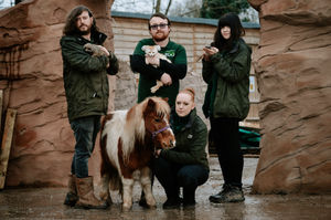 Supporting image for story