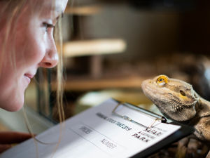 Supporting image for story: Annual animal stock take underway at West Midland Safari Park