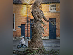 Supporting image for story: Mother Nature is someone to look up to at Attingham Park