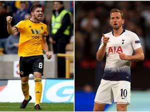 Supporting image for story: Wolves v Spurs: Preview