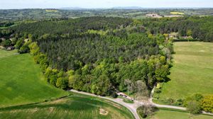 Blakeshall Common, near Kinver Edge