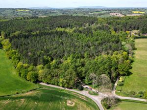 Blakeshall Common, near Kinver Edge
