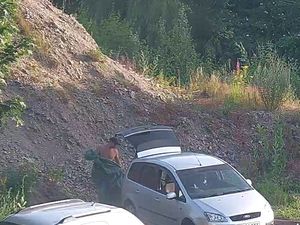 Supporting image for story: Fly-tipper billed hundreds of pounds after illegally dumping foliage