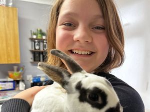 Supporting image for story: Fundraiser launched to buy special wheelchair for 12-year-old girl with rare condition 