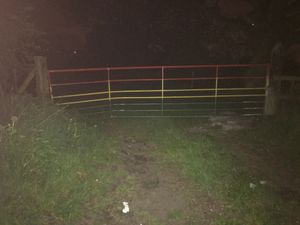 The cat and kittens were left in a gateway to a field in Green Lane, Walsall Wood.