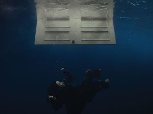 Supporting image for story: Billie Eilish releases new album centred on love and its accompanying heartbreak