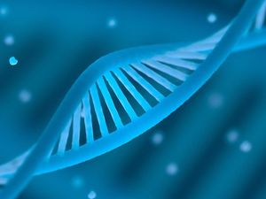 Supporting image for story: Everything you need to know about the Government plan for genetic testing to treat cancer patients