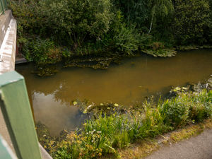 Supporting image for story: 'We saw dead fish floating': Walsall locals react to toxic chemical spillage in canal 