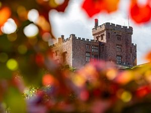 Supporting image for story: Halloween fun in Welshpool and there's a free lunch offer for children  
