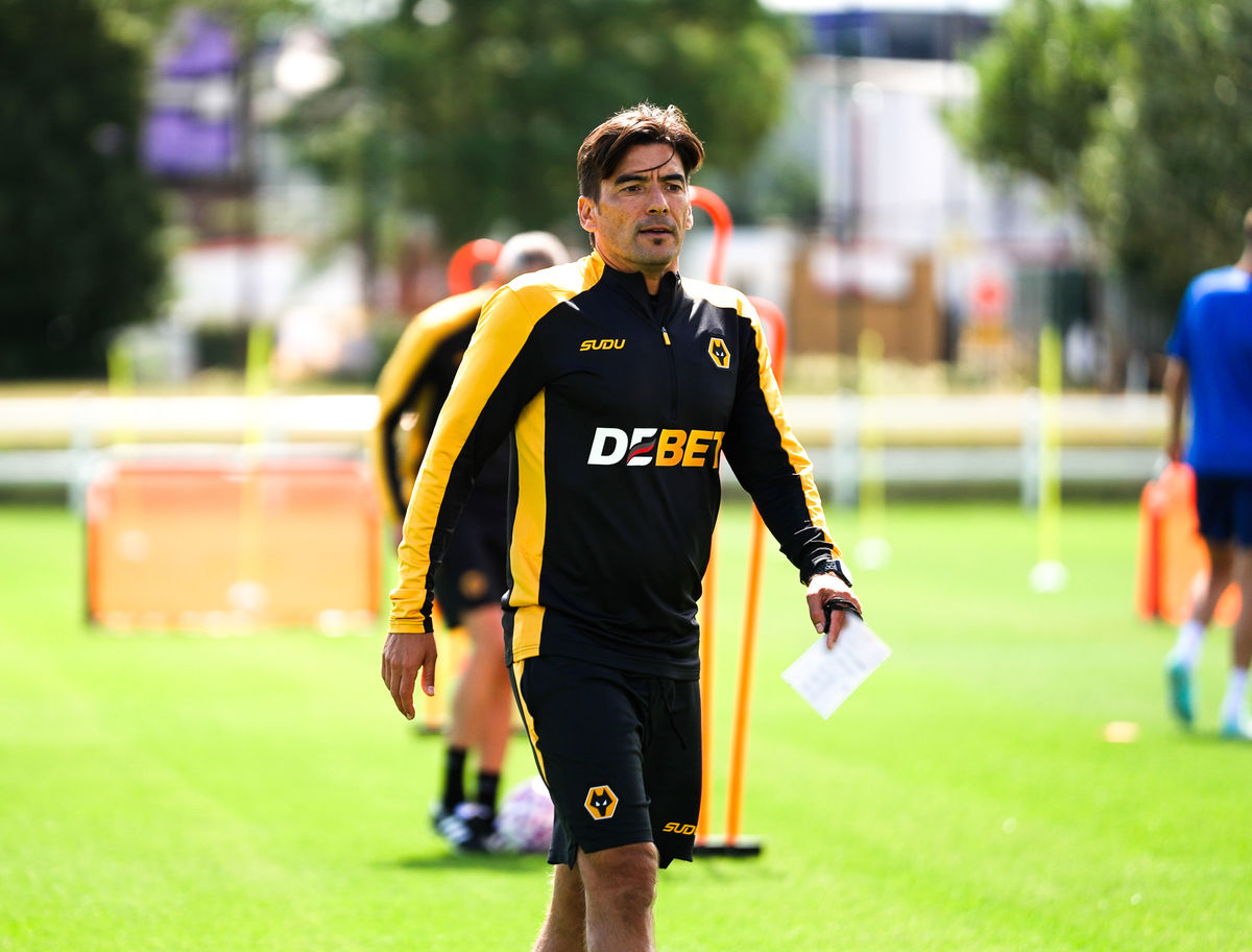 Wolves appoint two new first team coaches