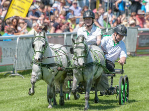 Supporting image for story: Royal Welsh Spring Festival