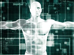 Supporting image for story: Scientists create camera that can see through the human body