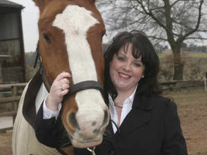 Supporting image for story: Advice makes horse sense