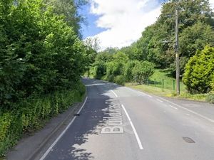 Supporting image for story: 30 holiday lodges on side of Telford valley would be ‘intrusive’ inspector rules