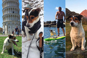 Supporting image for story: Pet's pass-pawt: Wonder-dog Skipper travels the world with owner Jon