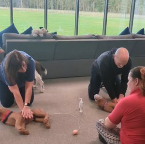 Volunteers practising their lifesaving CPR skills