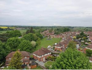 The view from the treetop