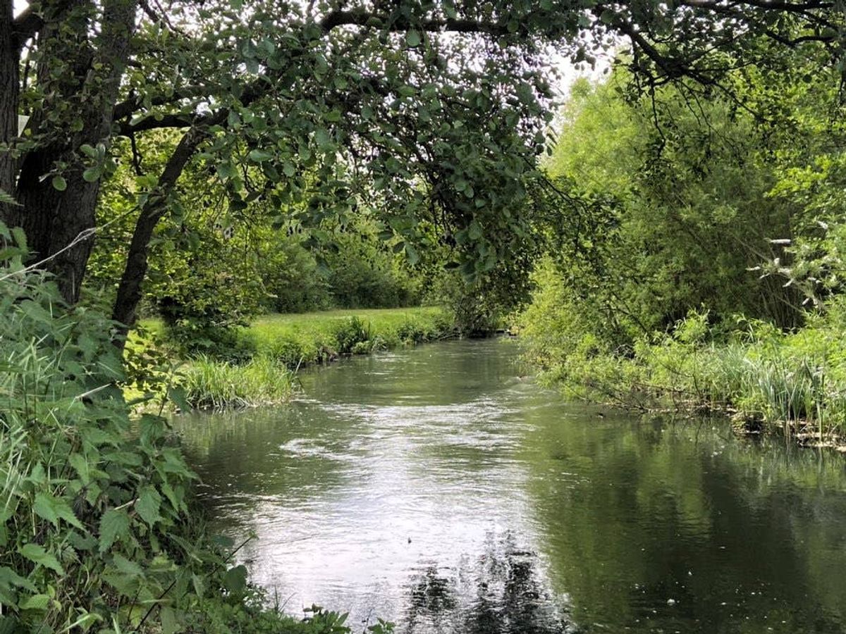 Feargal Sharkey accuses environment watchdog of illegally draining River Lea