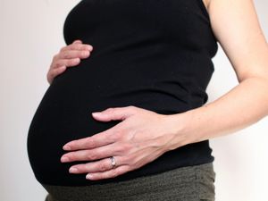 Supporting image for story: Identification of key step in embryo development offers fertility treatment hope