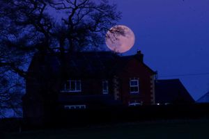 Sue Austin took this photograph in Ellesmere