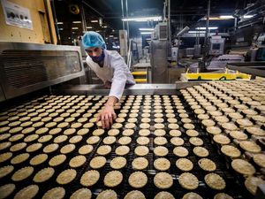 Supporting image for story: In Video: Inside the factory that makes 720 mince pies a minute