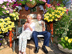 Supporting image for story: 'It's the best it's ever been' – Netherton couple share glimpse of prize-winning garden