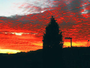 Supporting image for story: Stunning sunset leaves warm glow in dramatic image