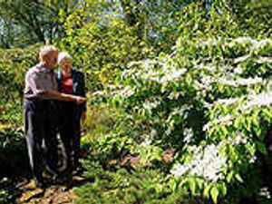 Supporting image for story: Garden gate to shut after 37 years