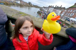 Bewdley Duck Race