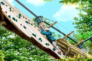 Tree Top Quest