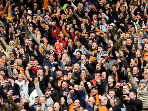 Supporting image for story: Premier League season ticket hike fair – Wolves fans