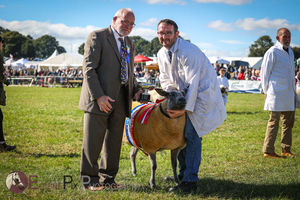 One of the winners in last year's sheep show at Kington Show