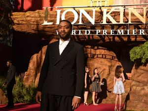 Supporting image for story