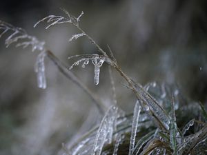 Supporting image for story: People struggling to heat homes in ‘dreadful’ position due to cold snap