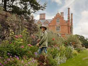 Supporting image for story: Mid Wales open gardens break records and raise tens of thousands for charity