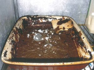 Supporting image for story: Ex-pub company owner fined over filthy food conditions 