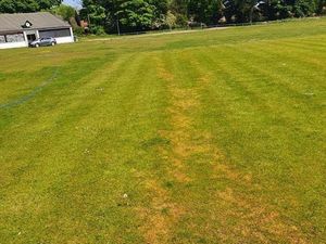 Supporting image for story: Virus anger fear over cricket club vandalism