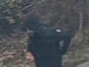 Supporting image for story: Two men arrested after elderly man dies in collision