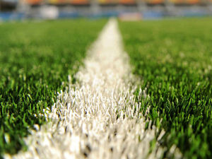 Supporting image for story: 70 Dudley sports pitches not up to scratch