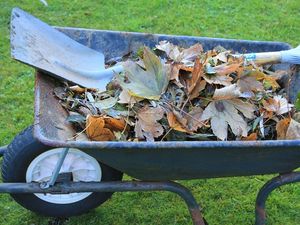 Supporting image for story: Powys garden waste collections ending for the winter