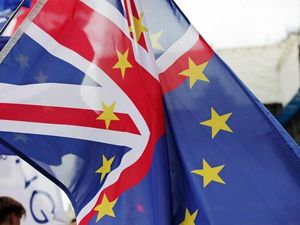 Supporting image for story: I’m not ringing any bells for Brexit