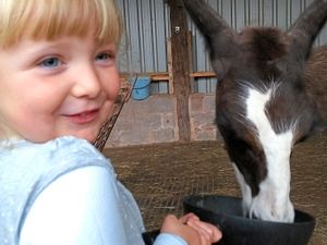 Supporting image for story