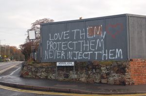 A mystery objector has been spraying anti-vaccination slogans