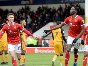 Supporting image for story: Walsall's Darrell Clarke hails Elijah Adebayo and Rory Holden's impressive displays