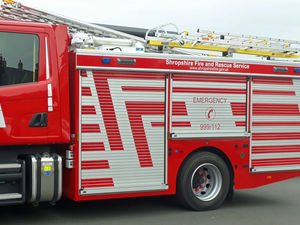 Supporting image for story: Calf impaled on railings in Bridgnorth