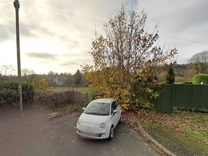 Supporting image for story: Dozens of affordable homes planned for farmland behind Shrewsbury cul-de-sac