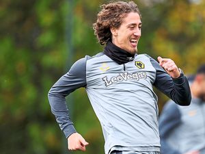 Supporting image for story: Dave Edwards: One thing can get Wolves striker Fabio Silva back in fold