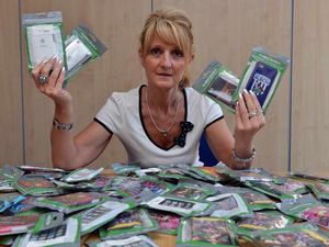 Supporting image for story: Merry Hill trader billed £14k for selling counterfeit Wolves and Albion phone covers